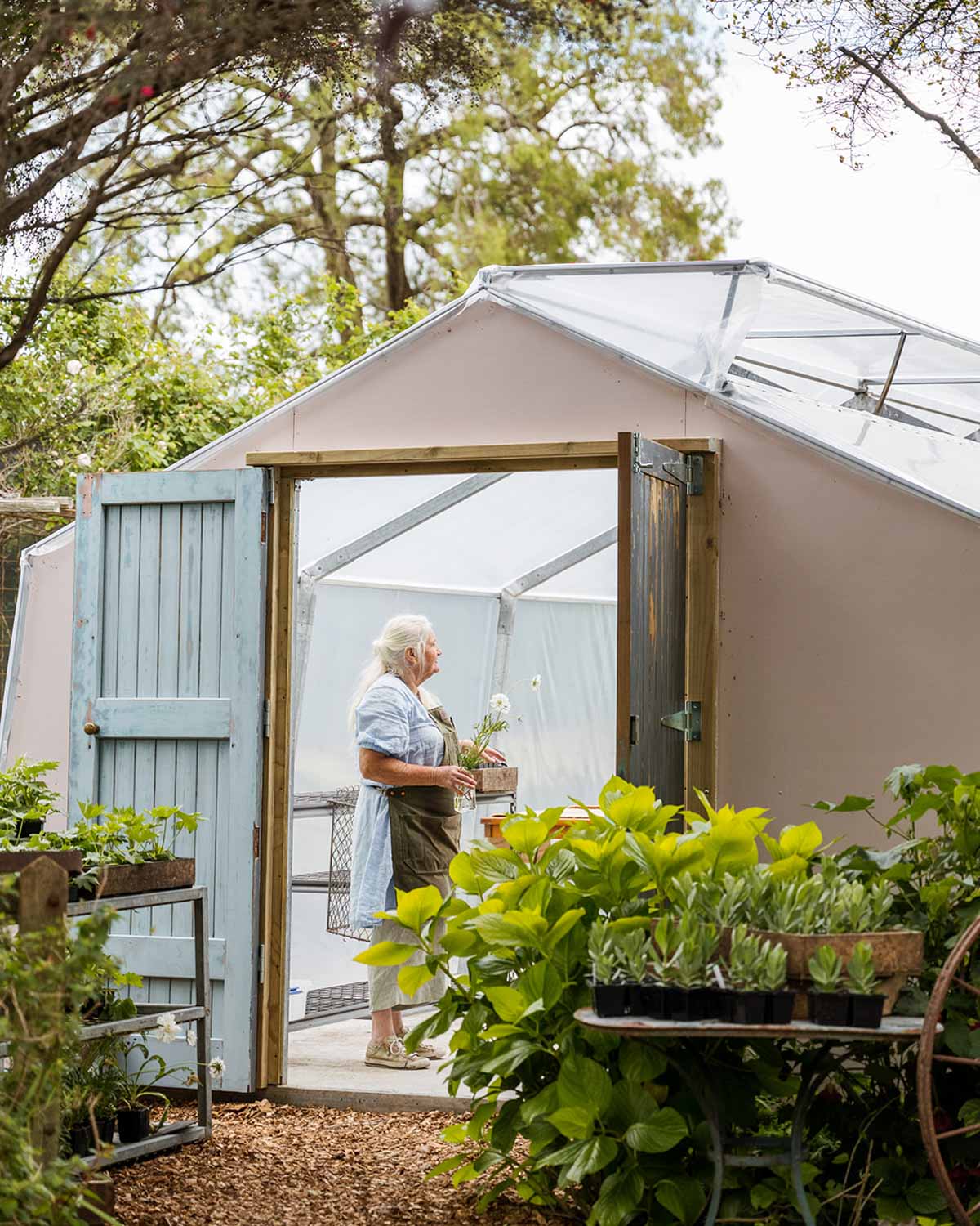 Seed Sowing Workshop - $110