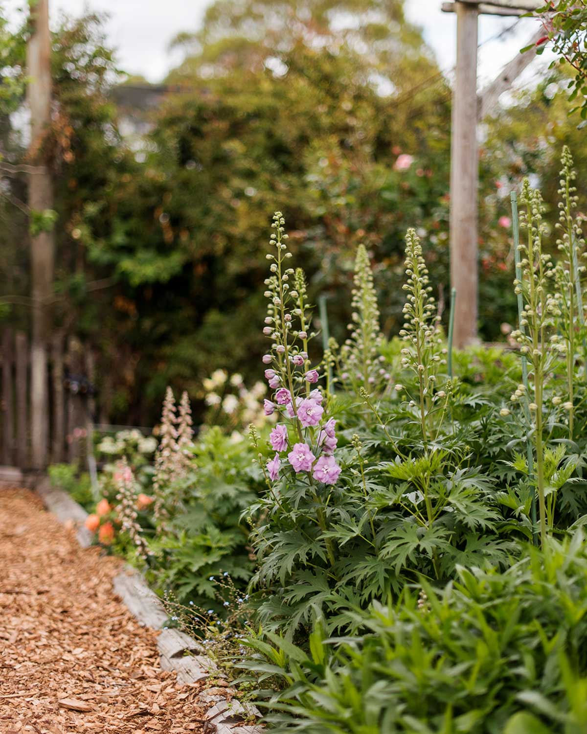 Seed Sowing Workshop - $110
