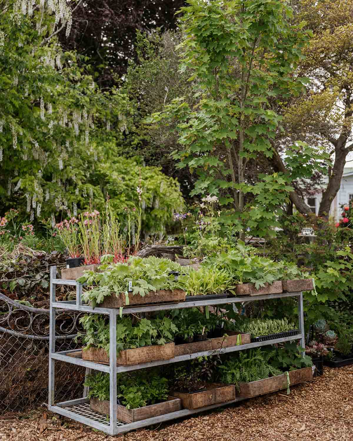 Seed Sowing Workshop - $110