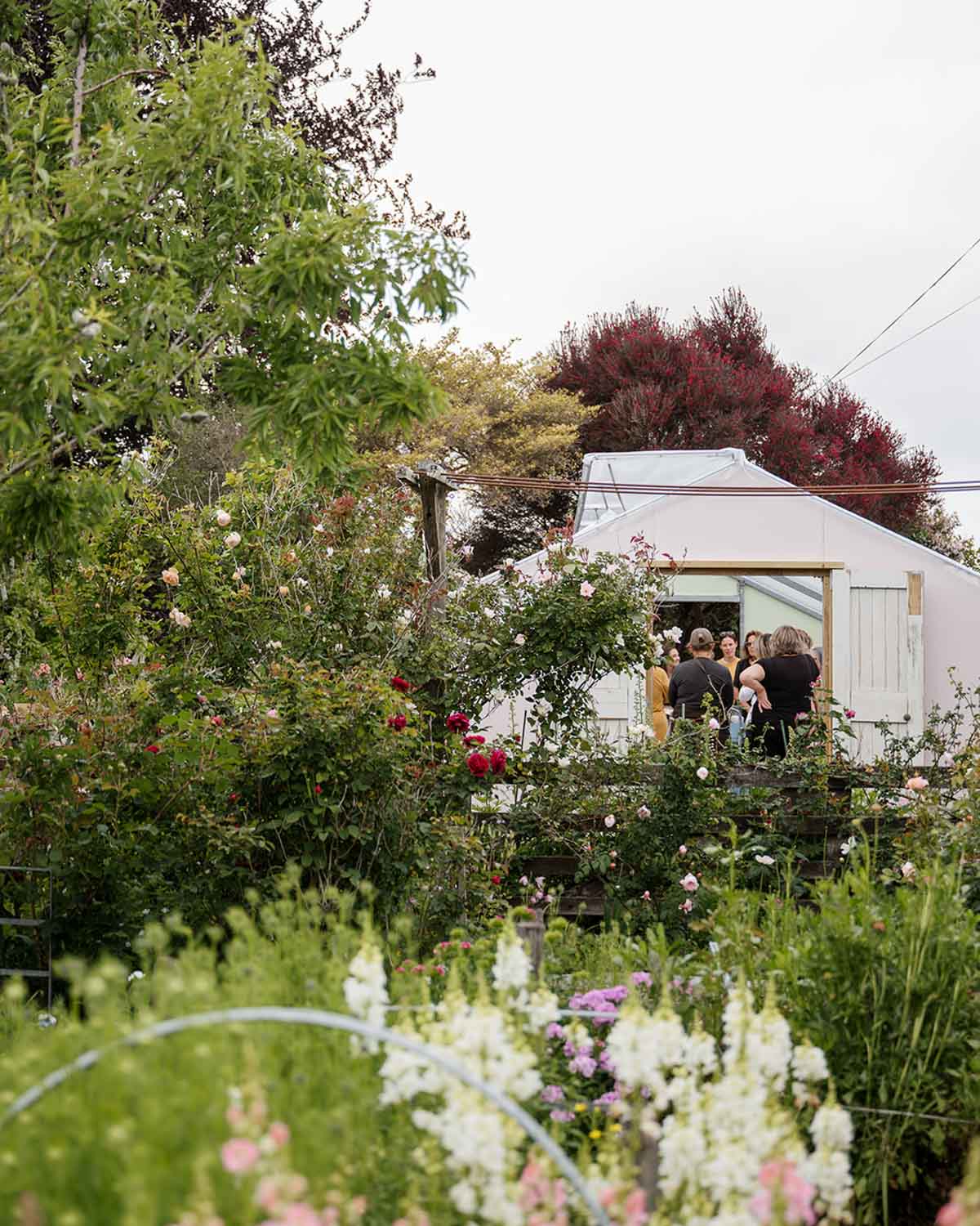 Seed Sowing Workshop - $110