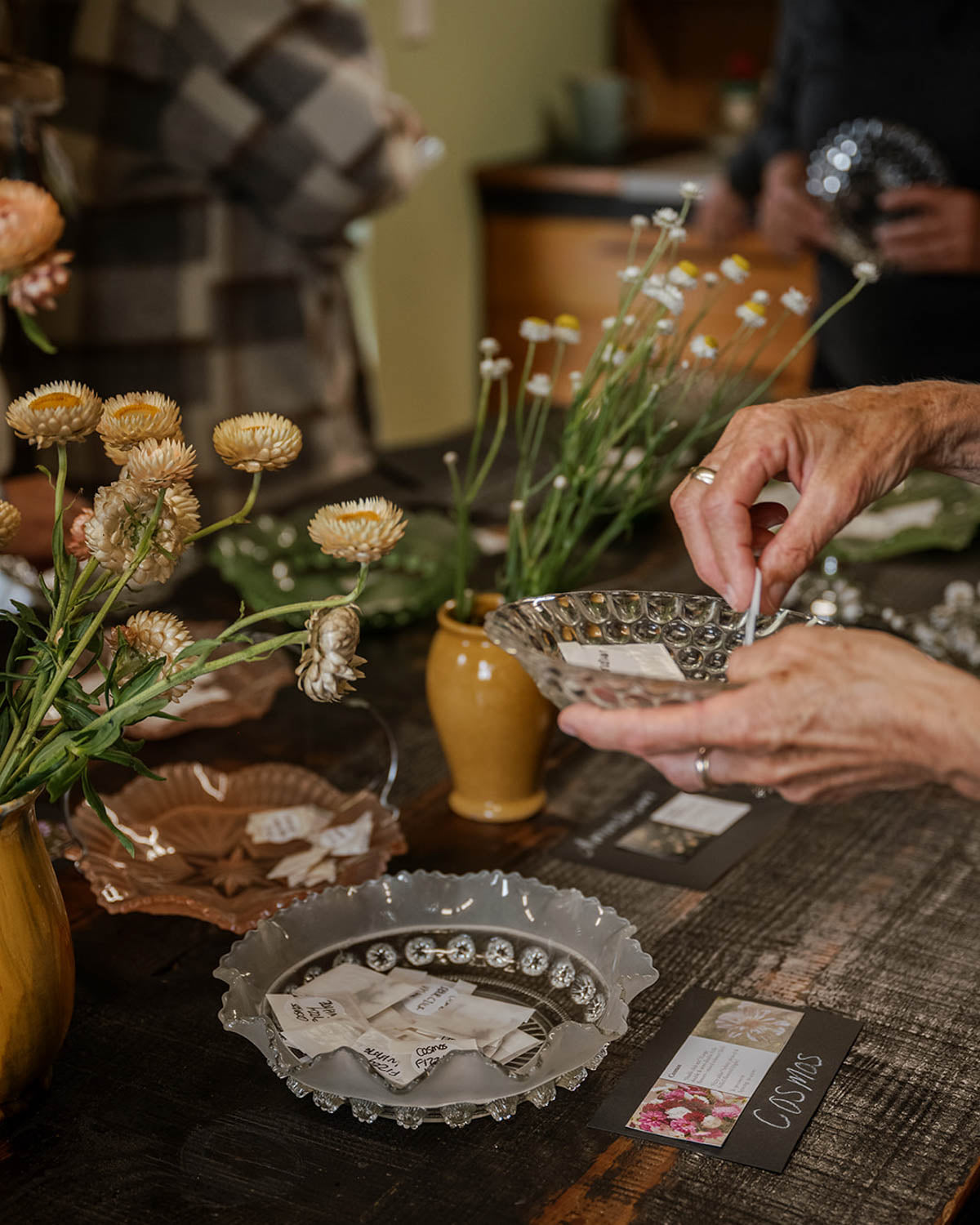 Seed Sowing Workshop - $110