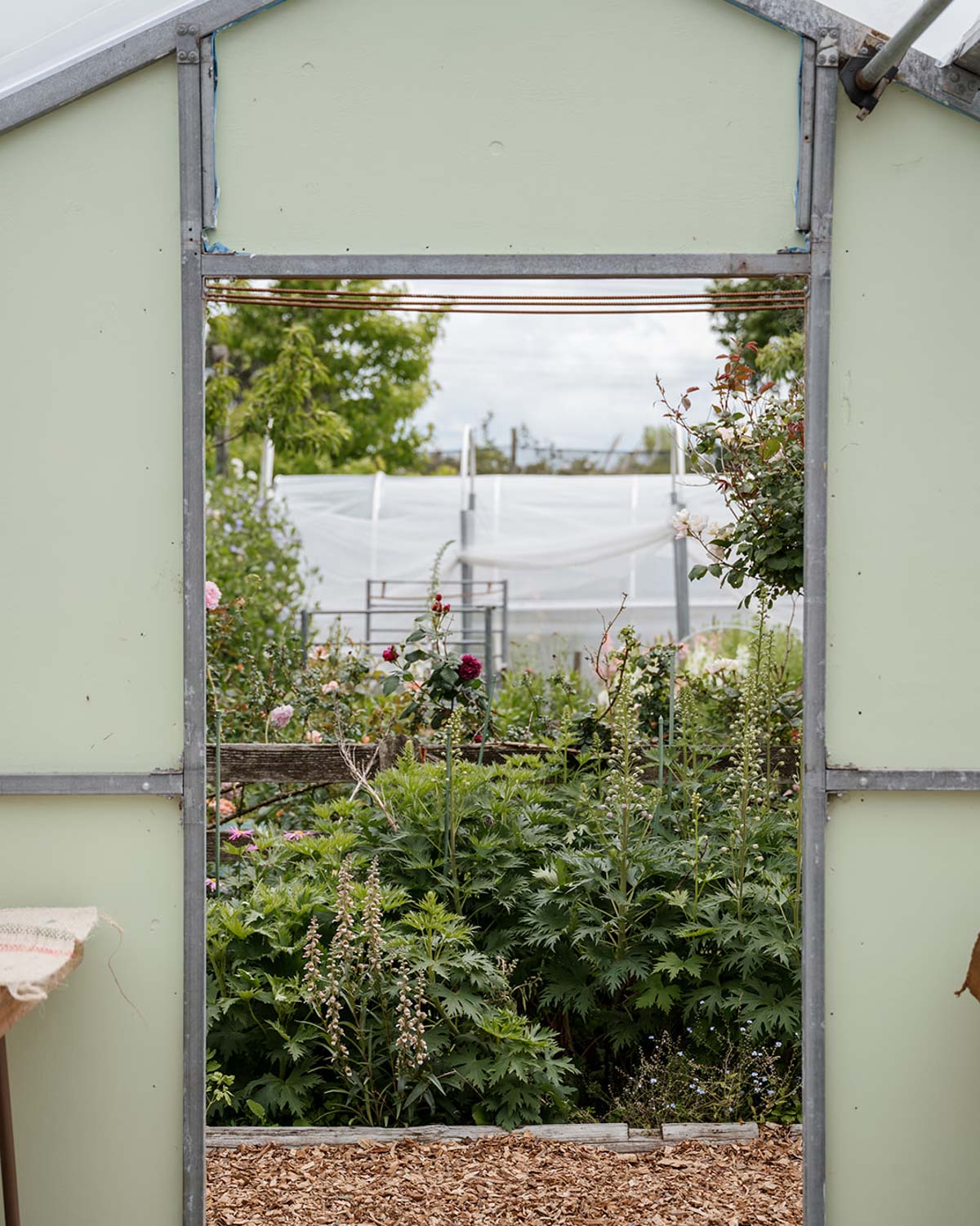 Seed Sowing Workshop - $110