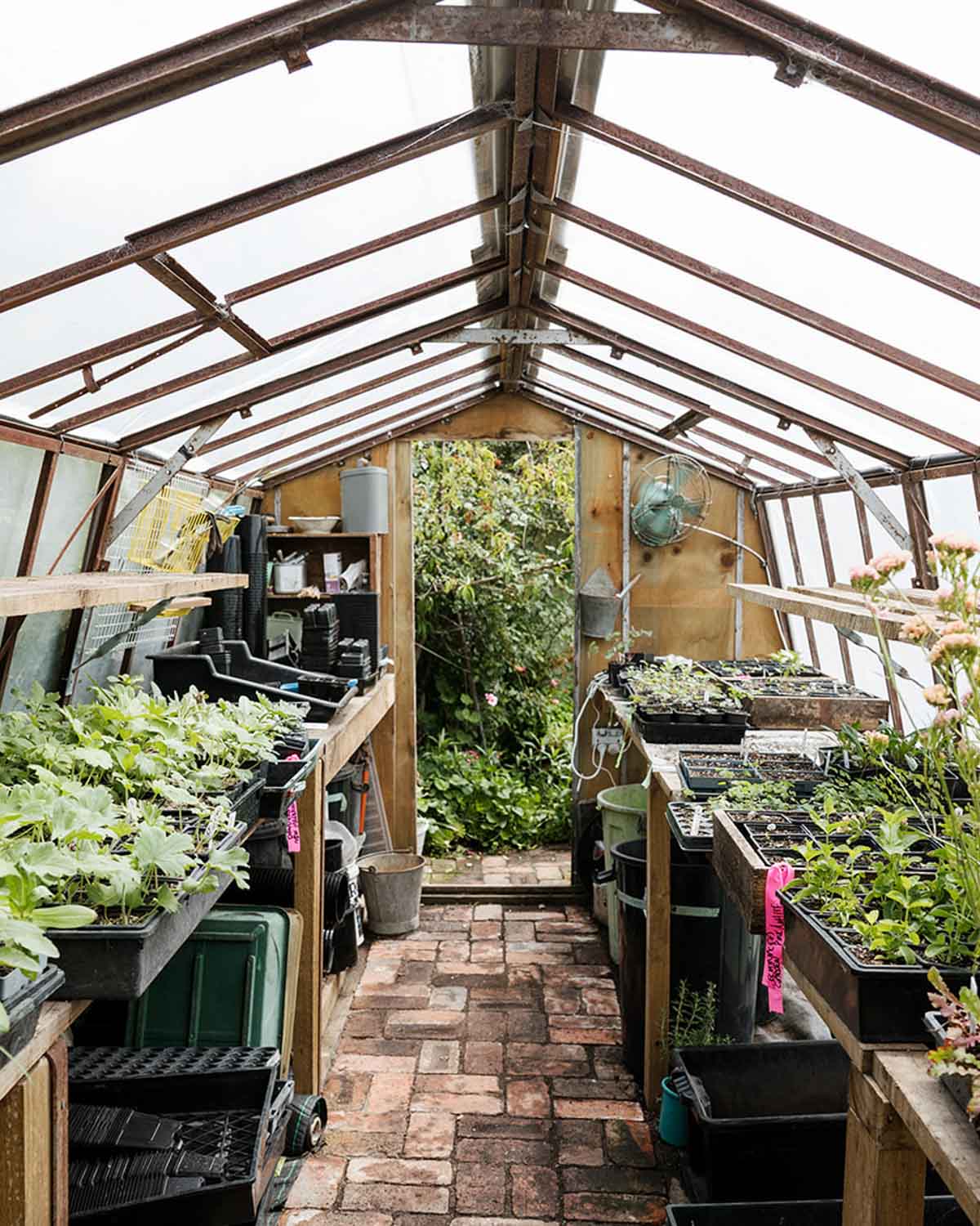 Seed Sowing Workshop - $110