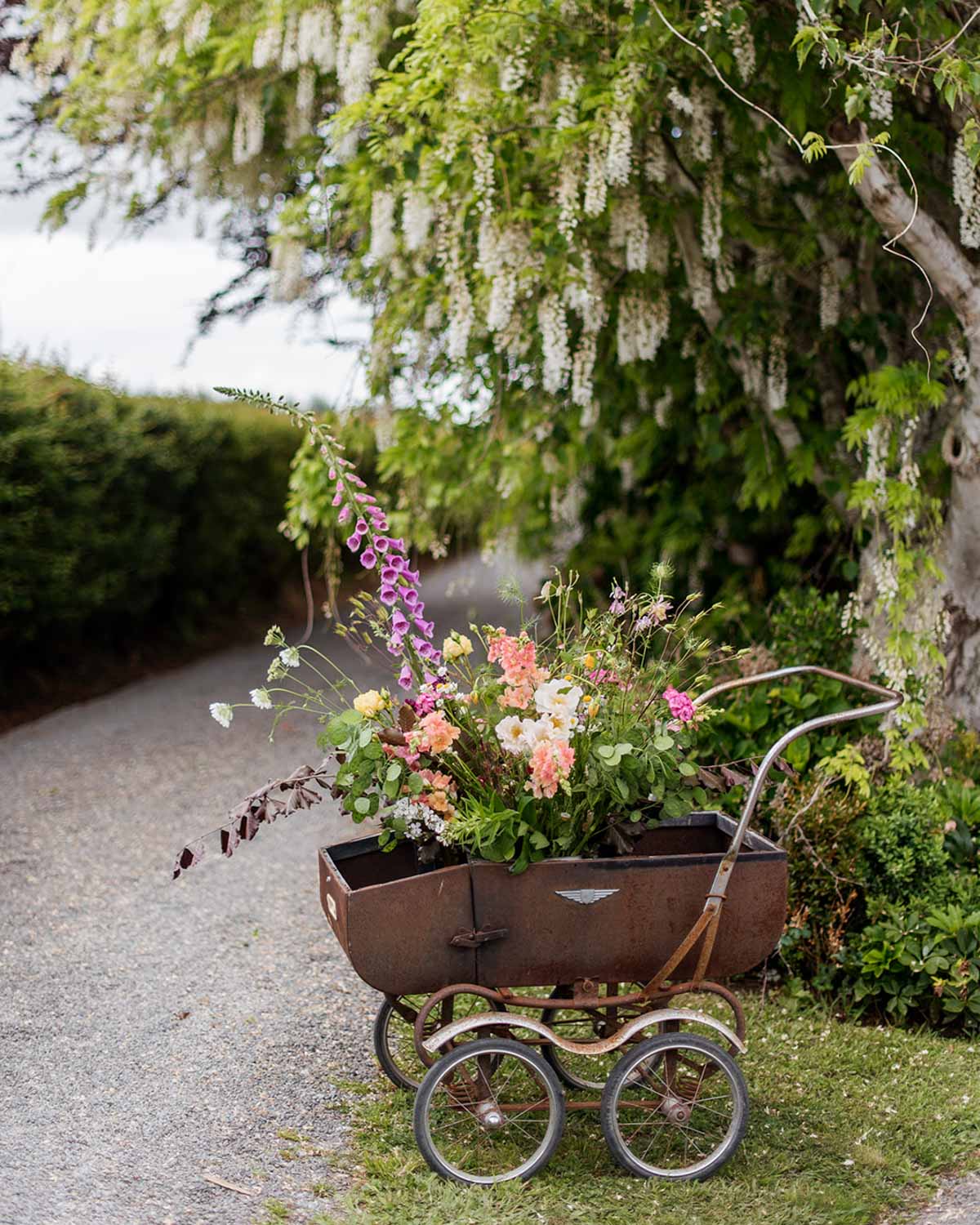 Seed Sowing Workshop - $110