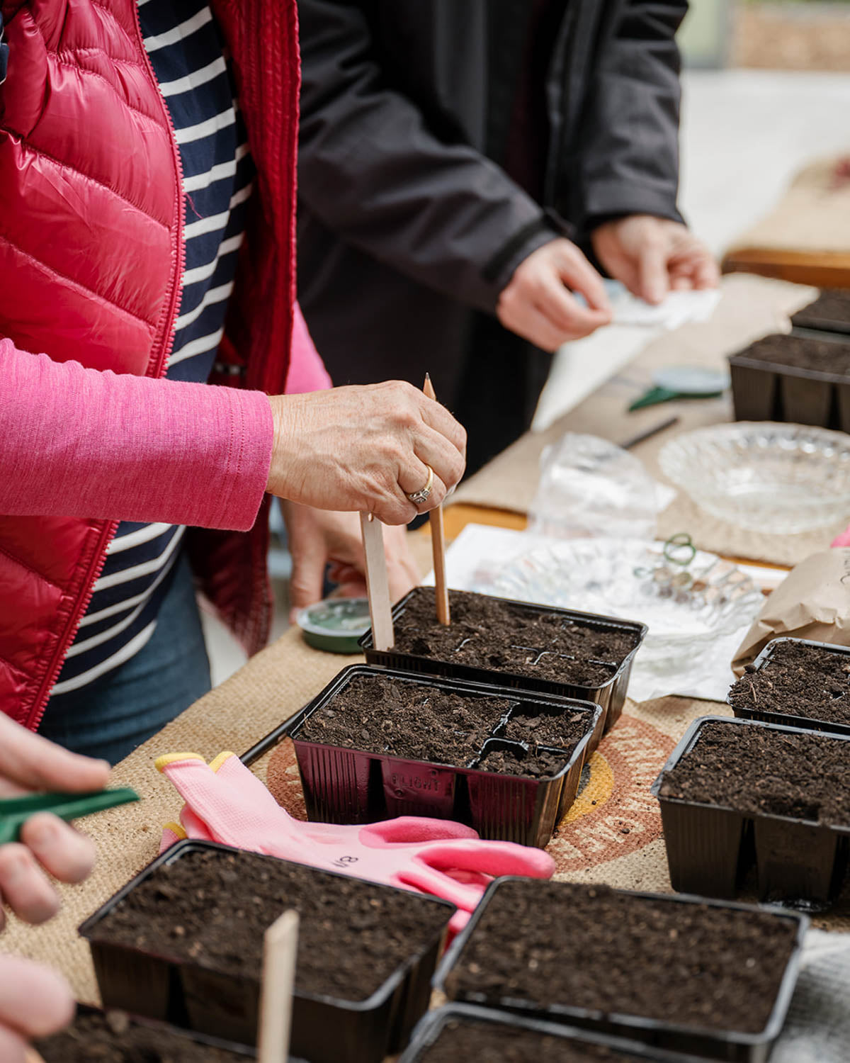 Seed Sowing Workshop - $110